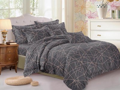 Постельное белье Клео Арт Колор Cleo Art Color 41/091-AC 220*240 Дуэт