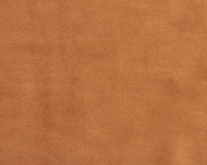 900202656