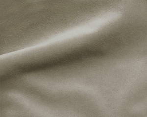 900203618