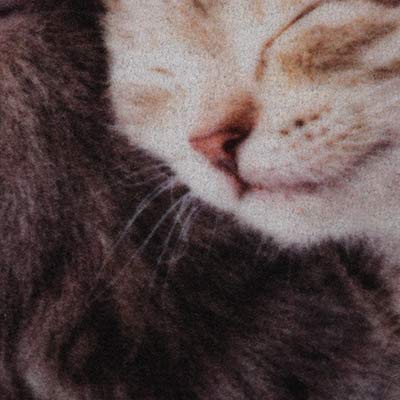 Коврик влаговпитывающий  "Самба"  50*80 см. "Милота", котята  "ВОРТЕКС VORTEX"