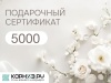 Дизайн_25_5000