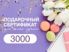 Дизайн_3_3000