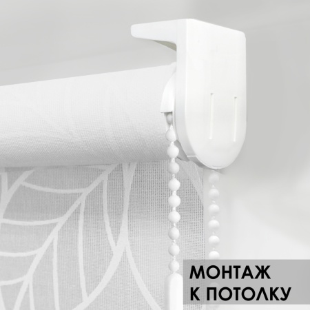 Рулонные шторы Ива