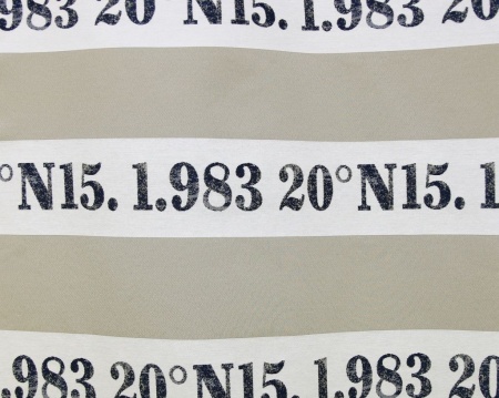 Штора на тесьме 276х270 см Brandon с подхватом