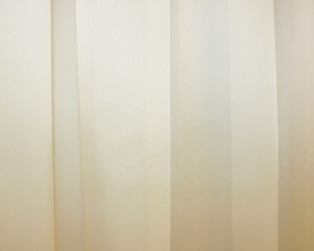 Тюль на тесьме 600х275 см Caroll - XL цвет бежевый