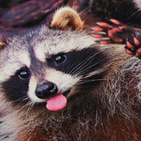 Коврик Vortex влаговпитывающий 50х80 Velur Веселые еноты