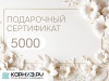 Дизайн_26_5000