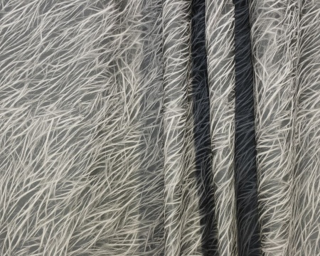 Комплект штор на тесьме "Minutia - ST" 2 шторы 200х270, тюль 450х270