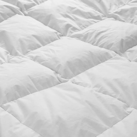 Одеяло Cleo Пух 172х205 гусиный пух Одеяло Cleo Пух 172х205 гусиный пух