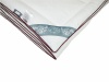 Одеяло Cleo ECO пух Soft 140х205 искусственный пух Одеяло Cleo ECO пух Soft 140х205 искусственный пух
