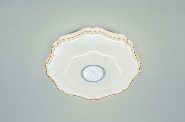 Светильник My Light LED 96W с пультом управления 3026/5