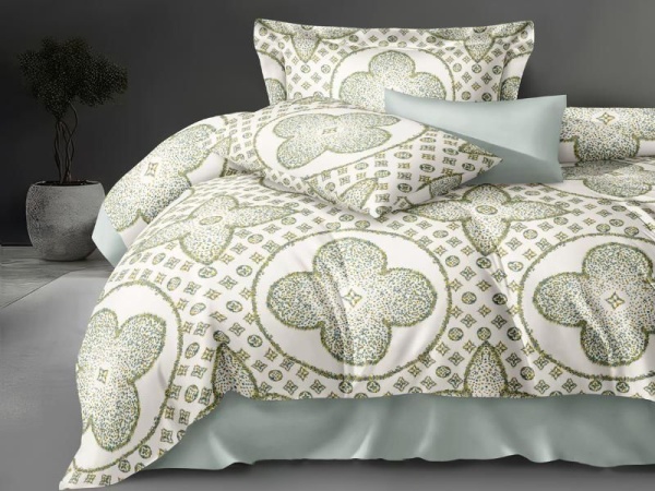 Постельное белье Cleo Perfecto 41/022-EH семейное