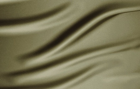 Комплект штор "Lindor-SH" 2 шт 220х270/450х270 зеленый