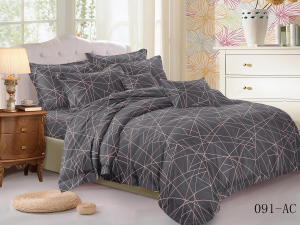 Постельное белье Cleo полисатин "Art Color" евро 200*220 см серое