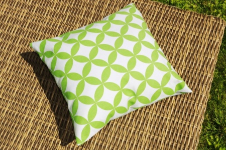 Подушка декоративная на молнии 40х40 см Green Round с принтом