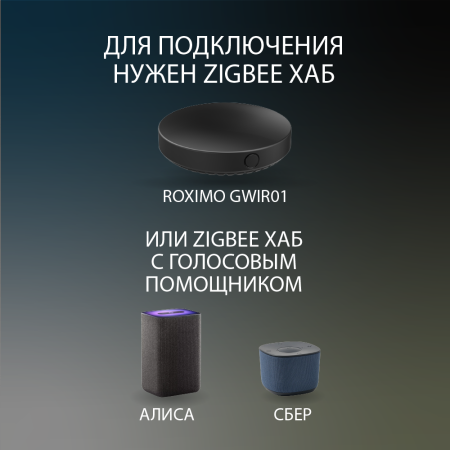 Умный Zigbee датчик протечки воды ROXIMO SZW03