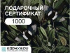 Дизайн_33_1000