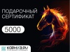 Дизайн_29_5000