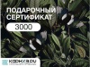 Дизайн_33_3000