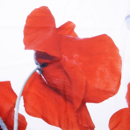 Шторка для ванной комнаты Main SC-47101