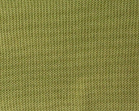 Портьера для спальни Хоста Hosta 140x280 светло-зеленый