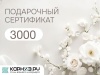 Дизайн_25_3000