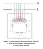Умный Zigbee выключатель ROXIMO сенсорный, однокнопочный, золотой