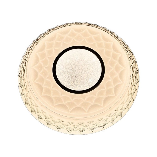 Светильник My Light LED 96W с пультом управления 4002/5