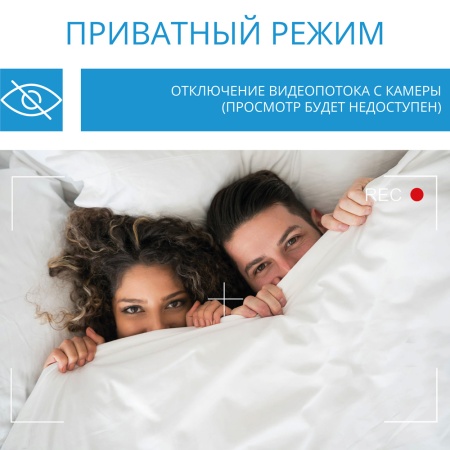 Умная камера поворотная ROXIMO RHC201 c Алисой