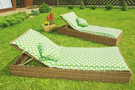 Подушка на шезлонг 60х190 см Green Round с принтом